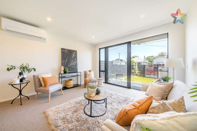 20a Tory Street Petone_2