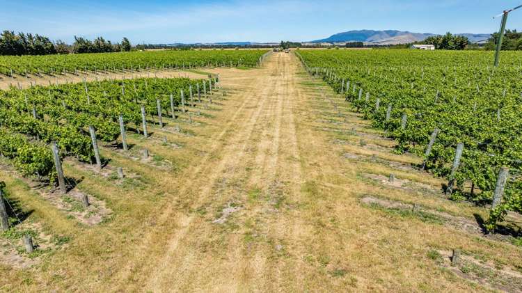 139 Mackenzies Road Waipara_14