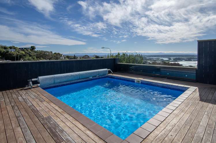 147 Soleares Avenue Mount Pleasant_15