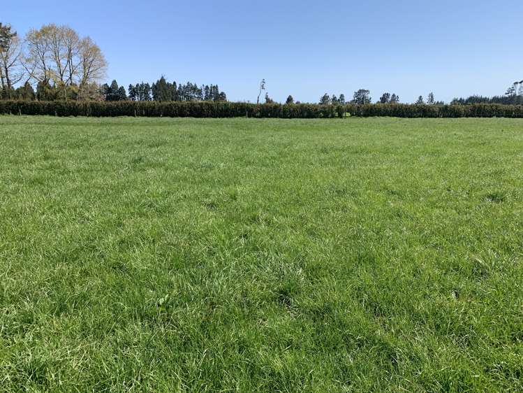 2442 Mountain Road Tariki_6