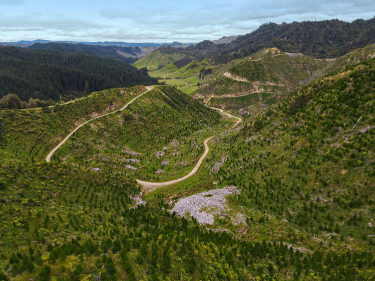 Rangitatau East Road Kai Iwi_6