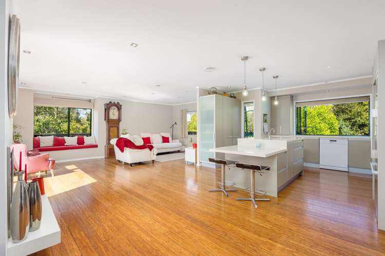 4 Smyth Road Dome Forest_6