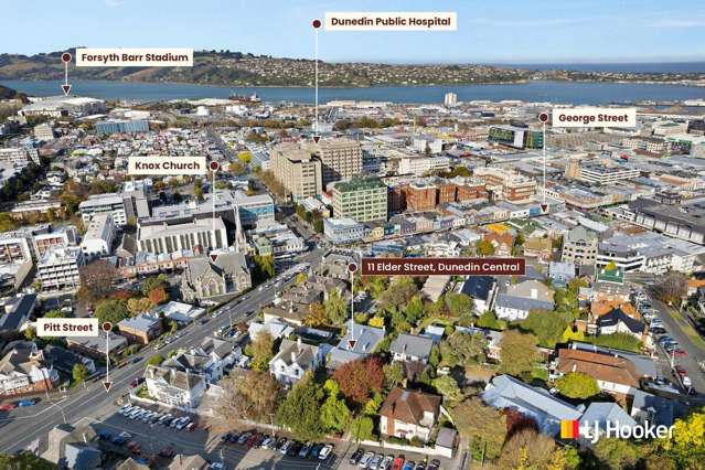 Blue Chip Real Estate, Premier Dunedin Location