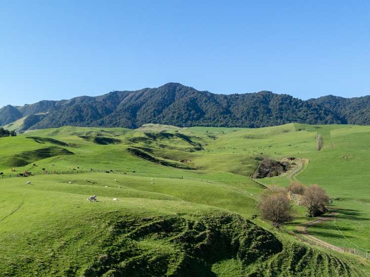 134 Old Te Aroha Road Te Poi_32