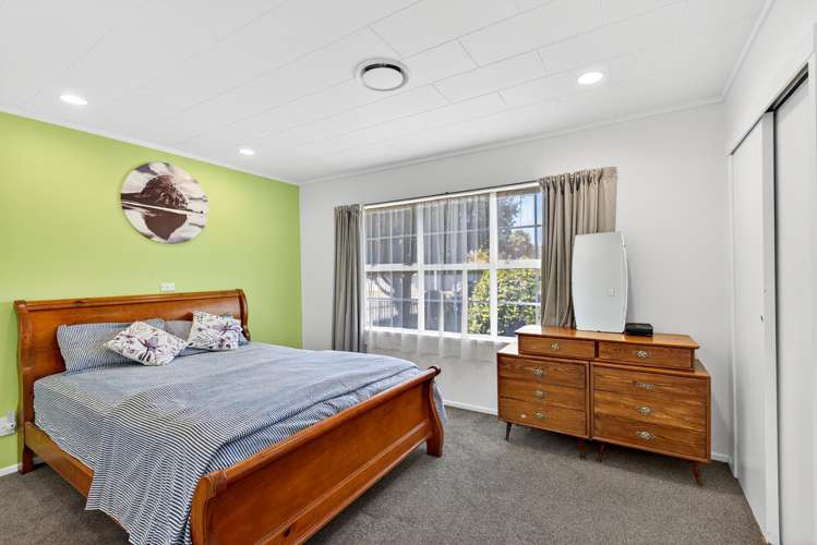 20 Norfolk Street Tamatea_7