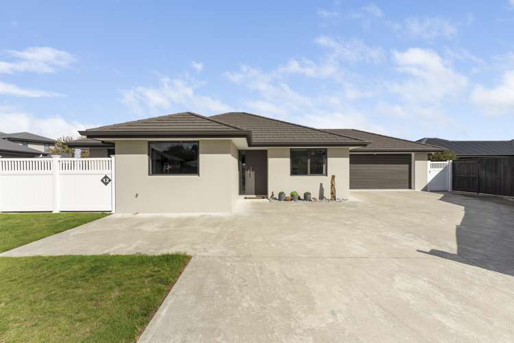 12 Peckham Lane Ashhurst_21