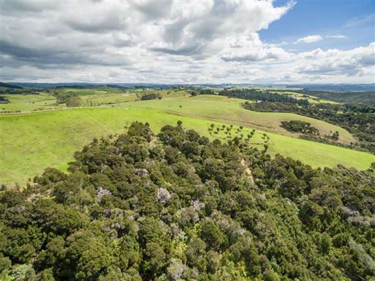 91 Opito Bay Road Kerikeri_14