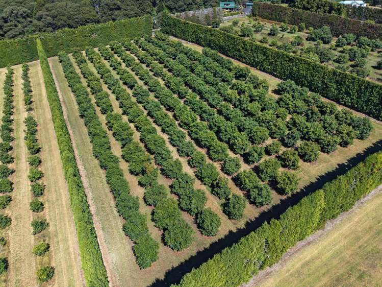 88 Stone Wall Rse Maungatapere_20