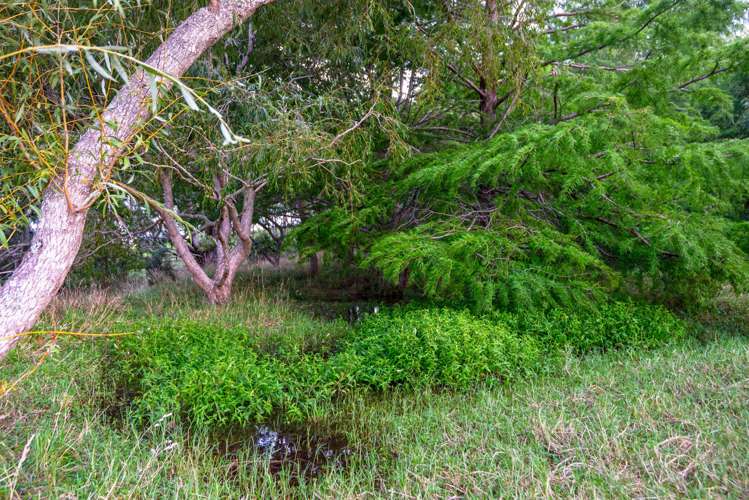 12 Whitehills Road Waitoki_30