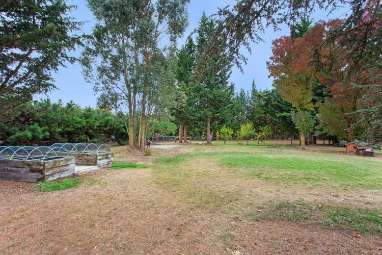 288 O'Roarkes Road Fernside_16