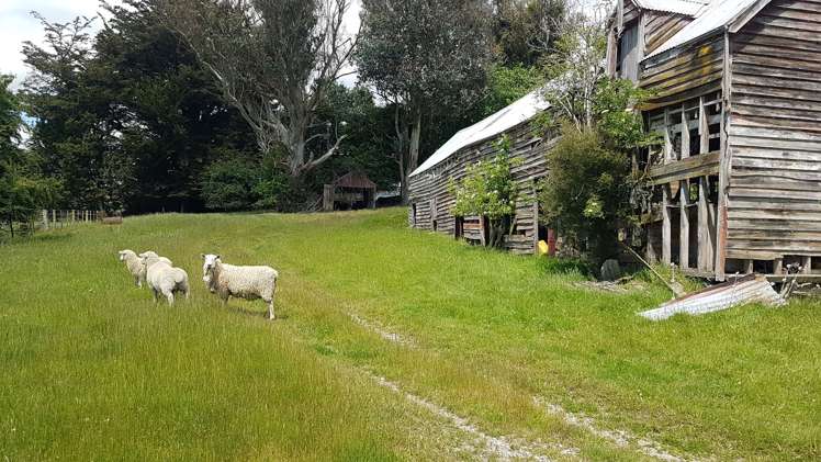 259 Kaihiku Church Road Clinton and Surrounds_20