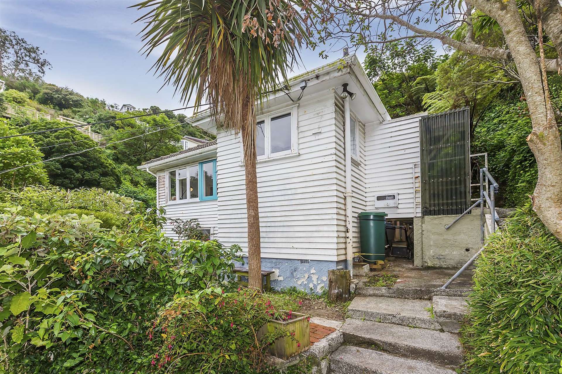 58 Norway Street Aro Valley_0