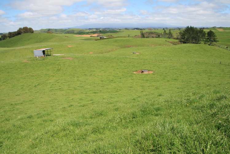 318 Kupara Road Tariki_13
