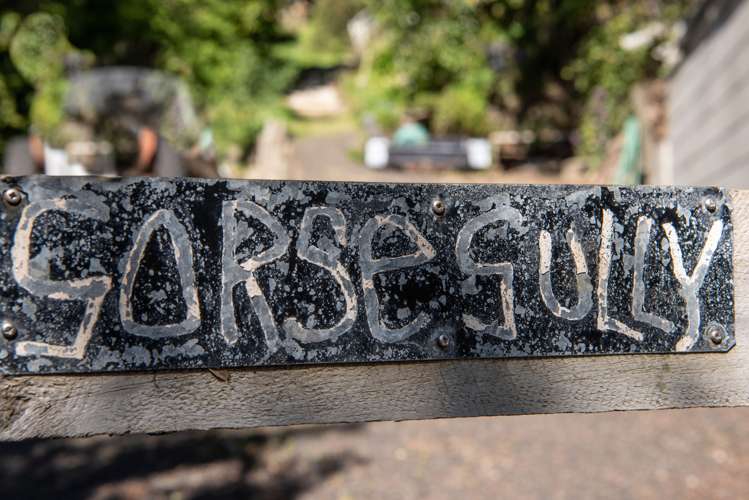 16 Quail Crescent Takamatua_18