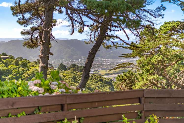 120 Miromiro Road Normandale_11