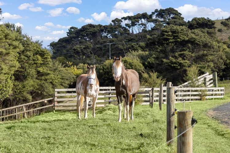 1088 South Head Road Helensville_23