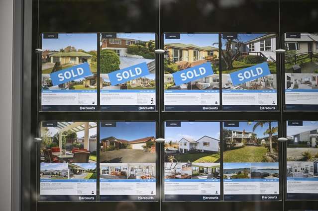 Tony Alexander: Why do Kiwi houses cost nine times the average income?