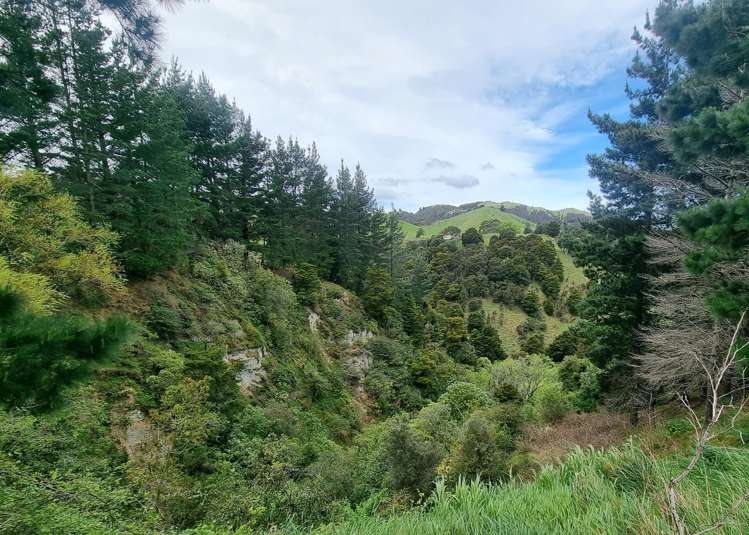 3345A Weber Road Dannevirke_33