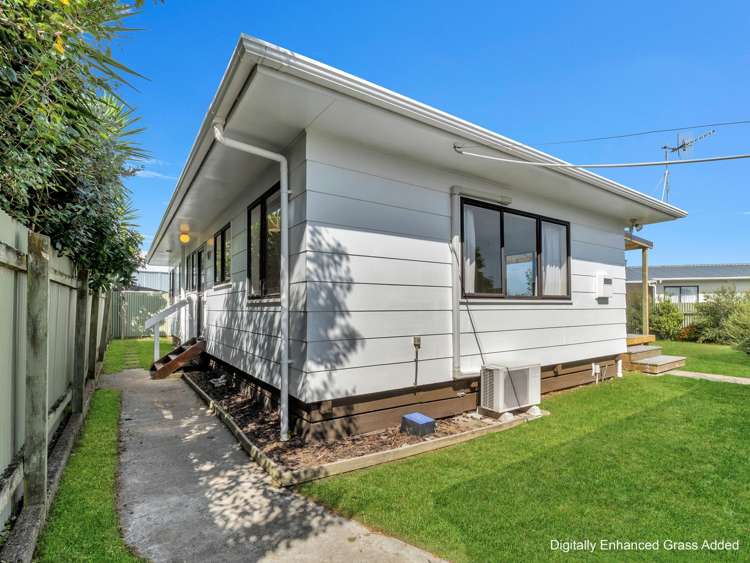 15b Douglas Street Levin_22