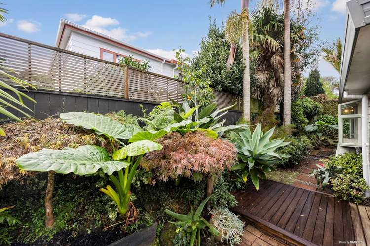 904a Mount Eden Road Three Kings_7