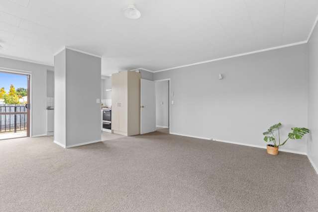 96A Mako Mako Road Levin_3