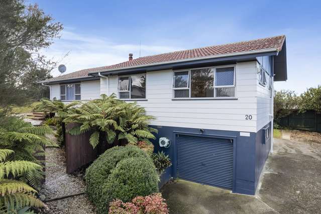 20 Newham Place Henderson_2