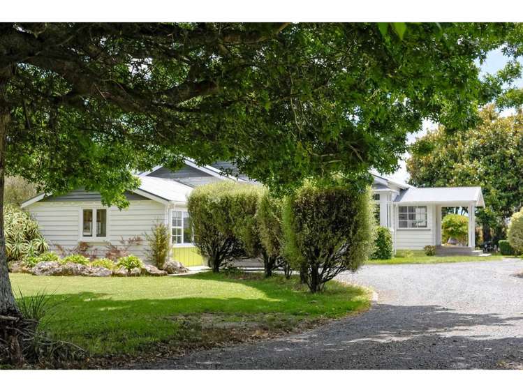 128 Waipapa Road Kerikeri Far North Houses for Sale One Roof