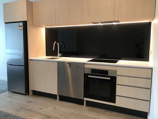 309b-428 Dominion Rd, Mt Eden