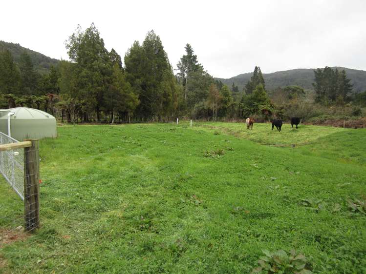 136 Charming Creek Road Seddonville_20