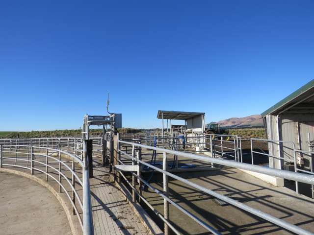 1374 Waimea Valley Road Nine Mile_1