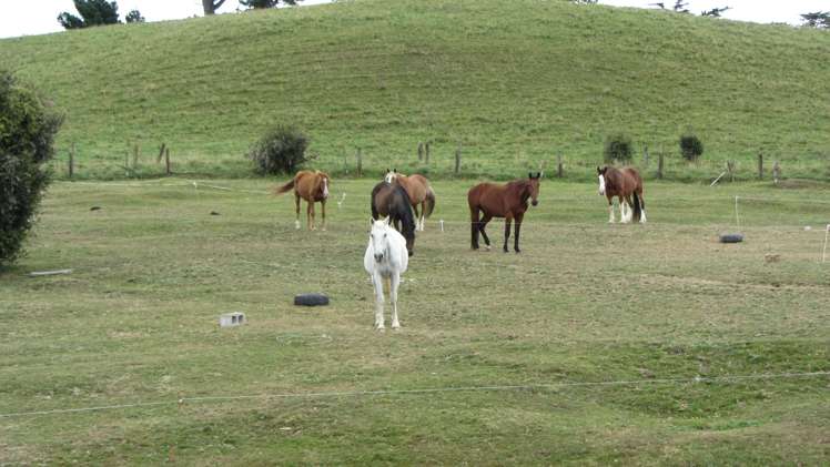 29 Cullen Street Eketahuna_9