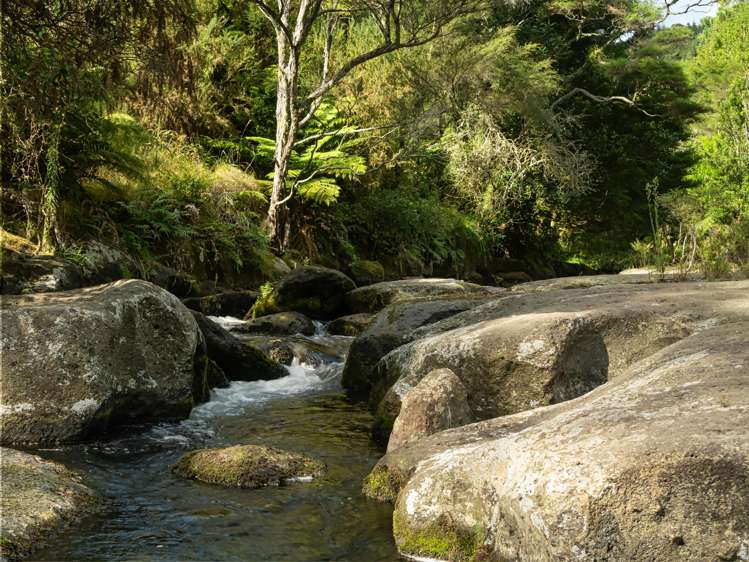 210 Wainui South Road Whakamarama_25