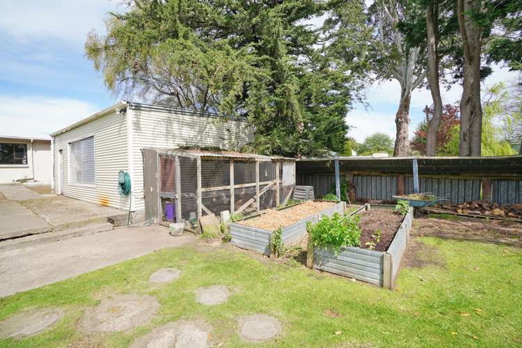 38 Galway Street Grasmere_16