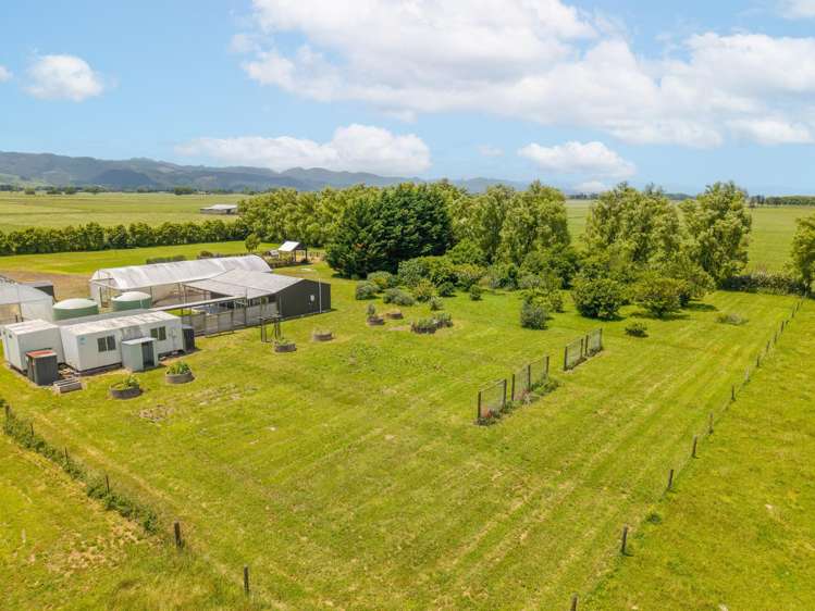 1922 State Highway 25 Pipiroa_37