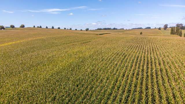 271 Cruickshank Road Te Awamutu_1