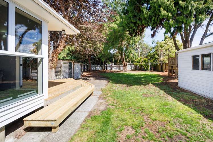 258 College Street West End_21