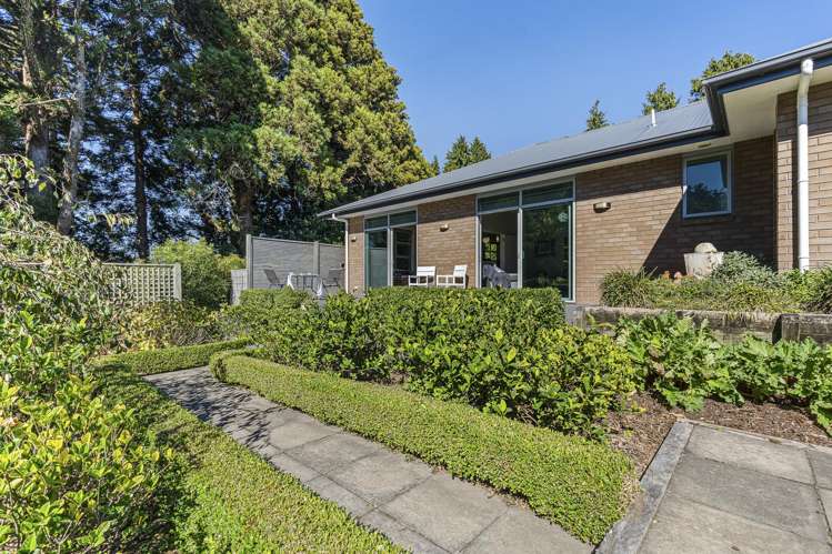 525e Mangorei Road Highlands Park_17