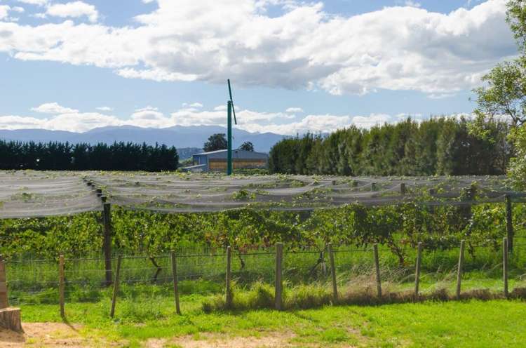 67 Princess Street Martinborough_14