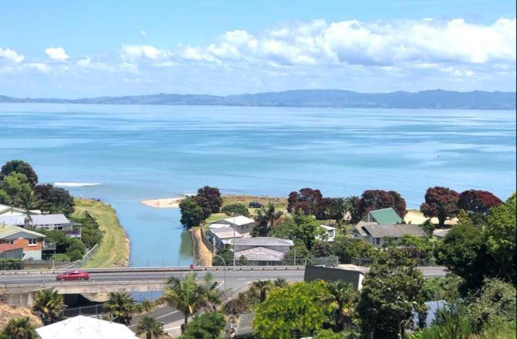 104 Tararu Creek Road_1