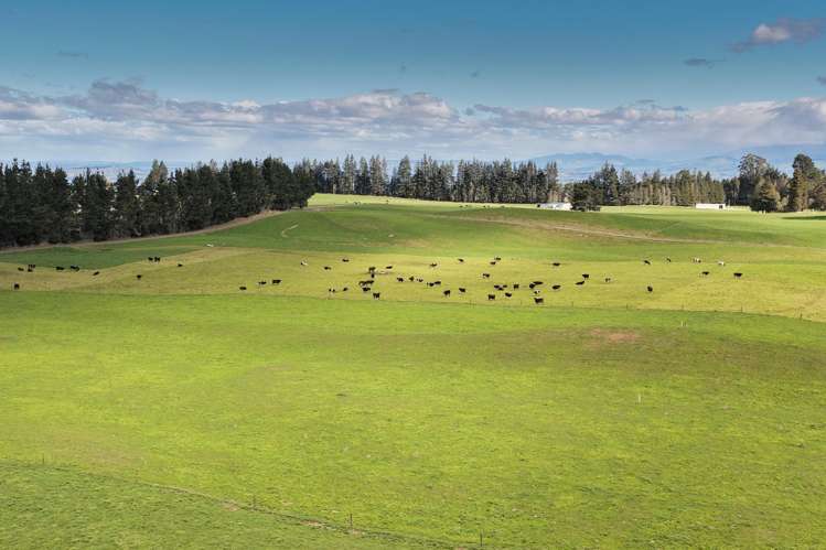 3986 Puketitiri Road Patoka_9