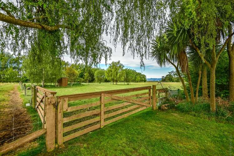 81 Wolfes Road Springston_25