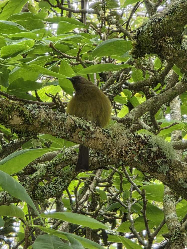 1000B Hamurana Road Hamurana_21