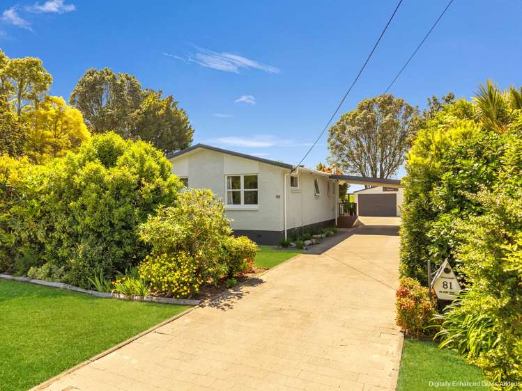 81 College Road Edgecumbe_1