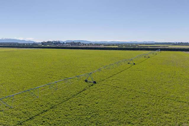 Productive opportunity with future upside