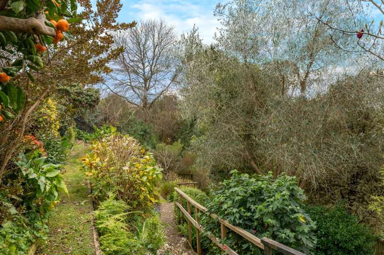 63 Bartholomew Drive Nawton_19