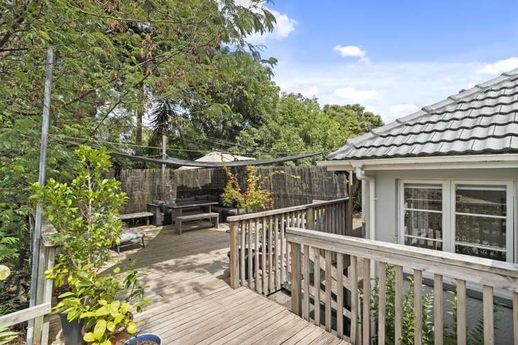 794B Dominion Road Mount Eden_1