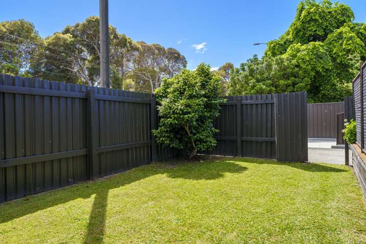 3 Riverbend Road Onekawa_11