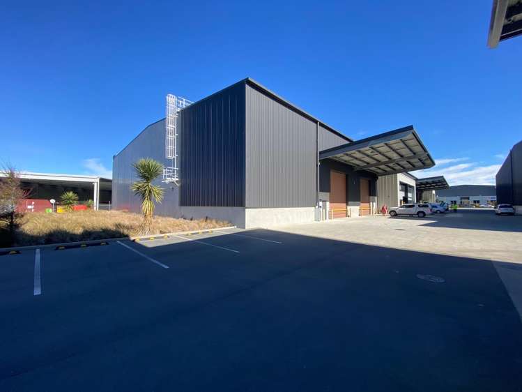 11/8 Islington Avenue Islington_5