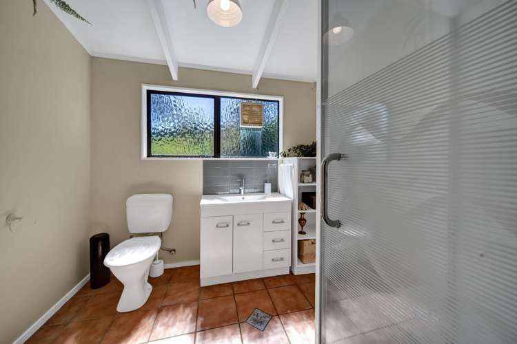 73a Heta Road Highlands Park_12