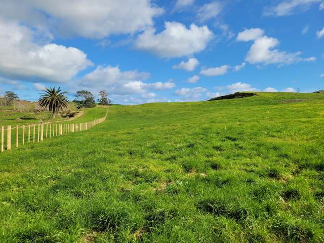 Lot 1 110 Colville Road Dargaville_3